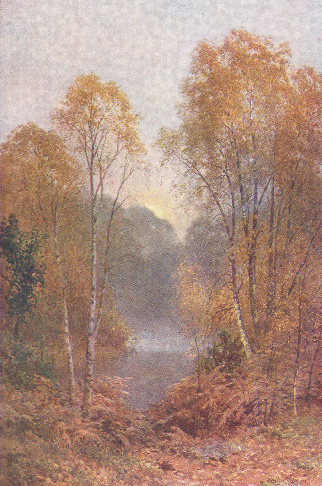 SURREY. Autumn Moon 1912 old antique vintage print picture